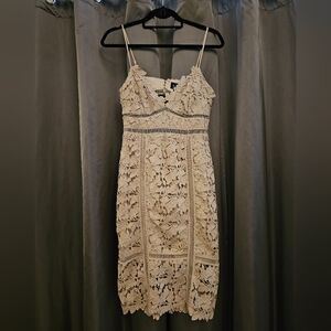 Bardot Lace Cut Dress